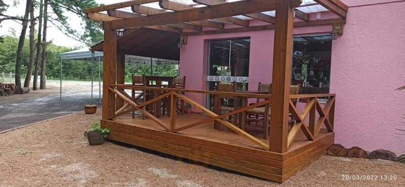 Colonices Bestetti