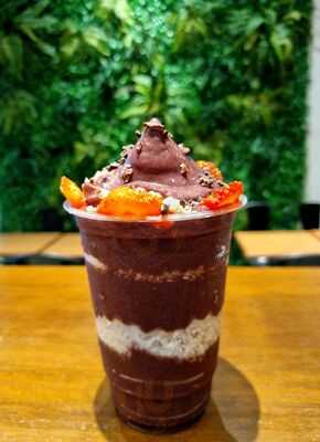 Onçaí Natural Da Amazônia