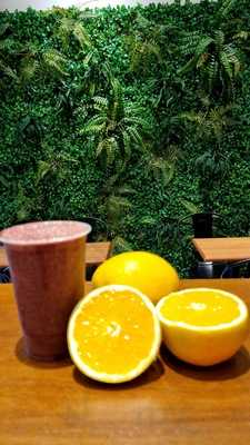 Onçaí Natural Da Amazônia