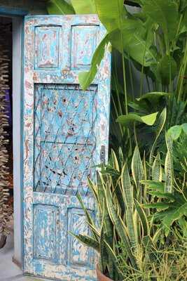 Abô Botânica & Café