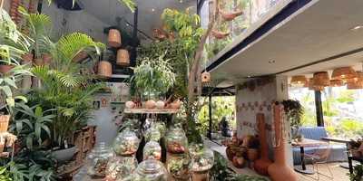 Abô Botânica & Café