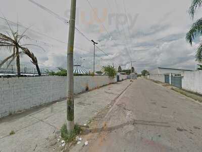 Botanikafé Barra Funda