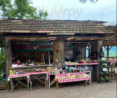 Tenda Caminho Das Olivas