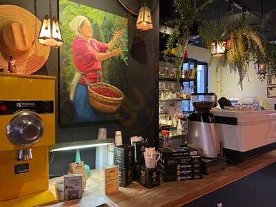 Visconde Cafés Especiais