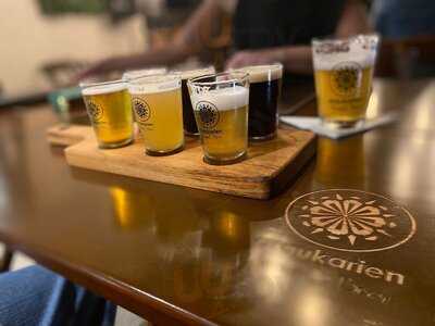 Araukarien Sunset Beer