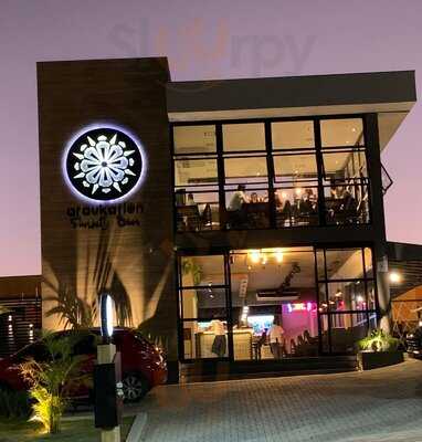 Araukarien Sunset Beer