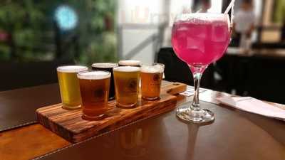 Araukarien Sunset Beer