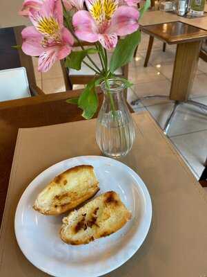 Noah Gastronomia Verbo Divino