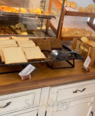 Noah Gastronomia Verbo Divino