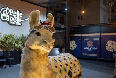 Saltas & Tapas Santo André