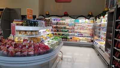 Estao Natural Da Terra