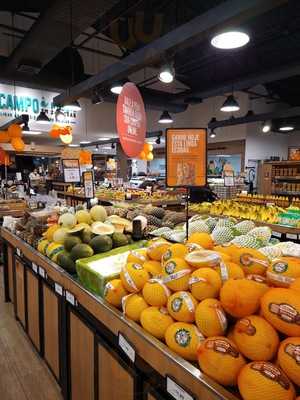 Estao Natural Da Terra