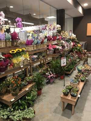 Estao Natural Da Terra