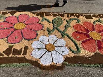 Fbrica De Bolo V Alzira