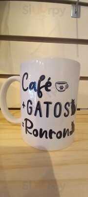 Ronron Cat Café