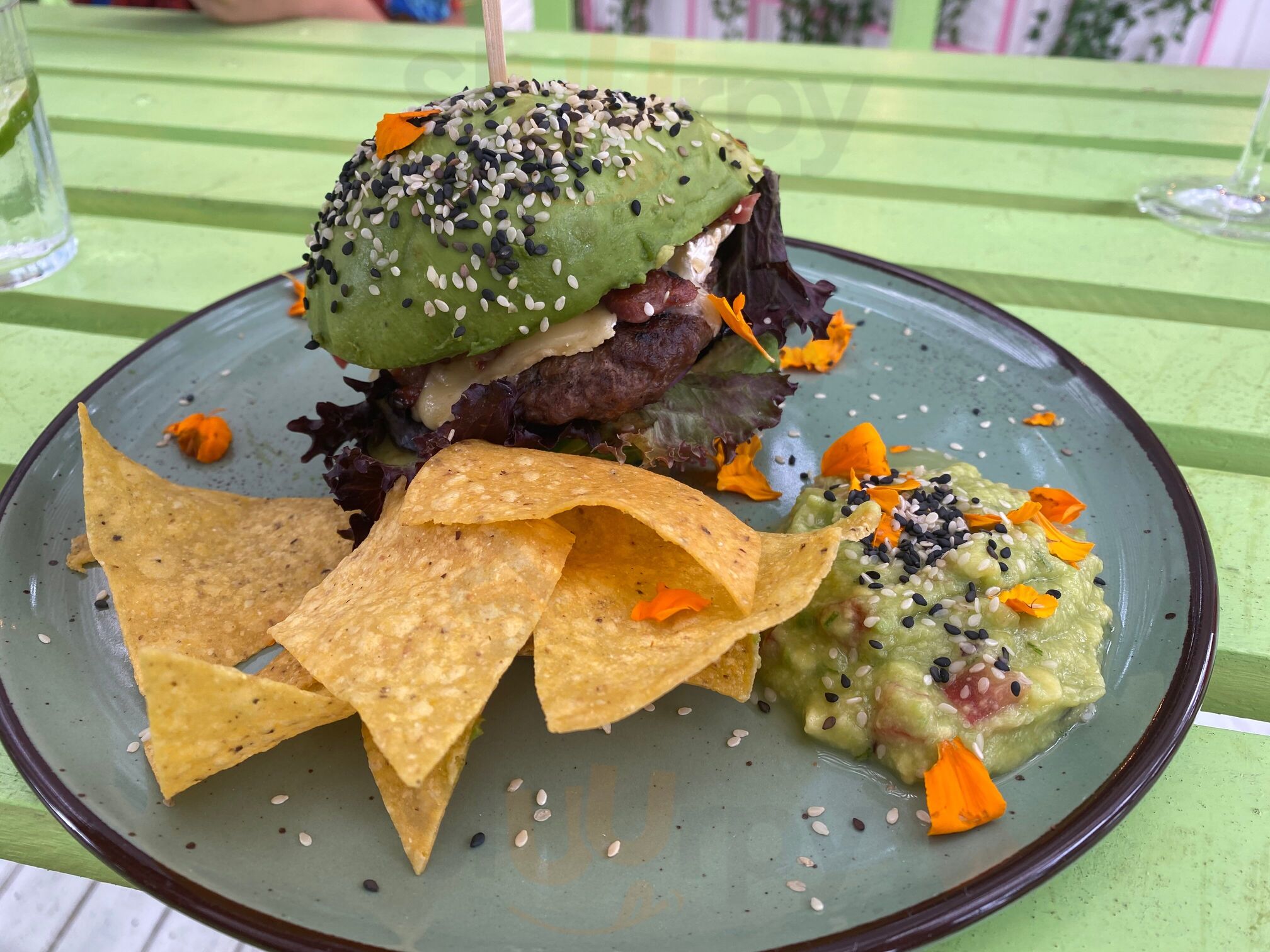 Avo