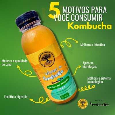 Viver De Kombucha