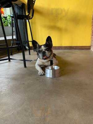 Quintal Fim De Tarde