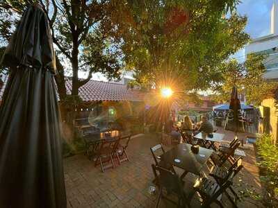 Quintal Fim De Tarde