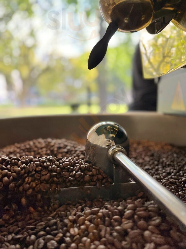 Dose Coffee Roasters