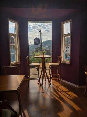 Alcateia Cafés Especiais