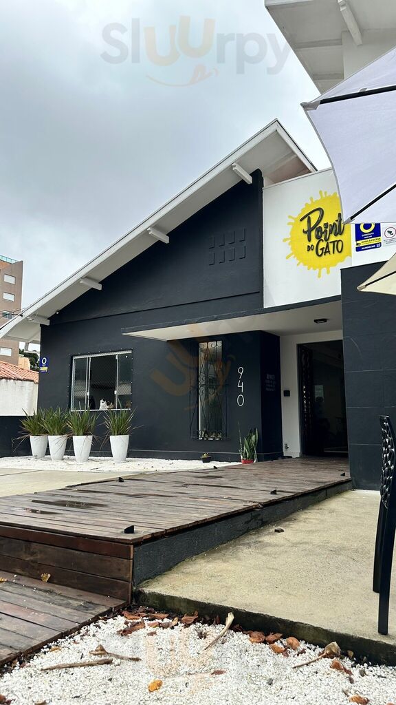 Point Do Gato Cat Café