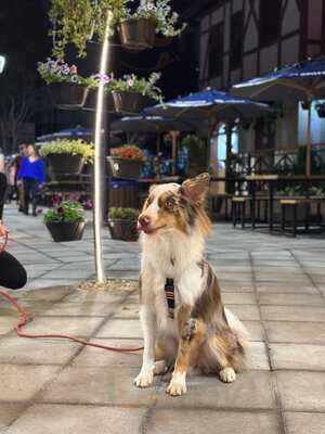 Vapor D'água Gastronomia