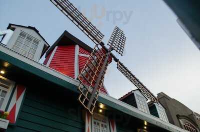 Zaandam Porto Alegre