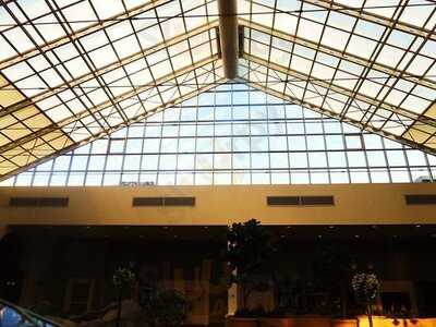 Shelly's Tap And Grill