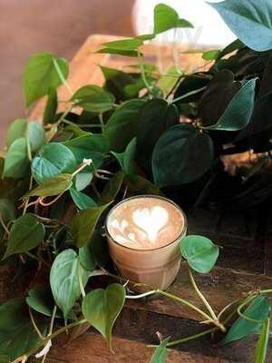 Sidetrack: A Wortley Cafe