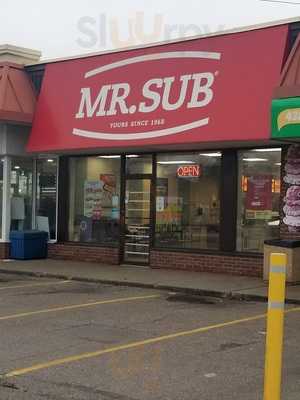 Mr.sub