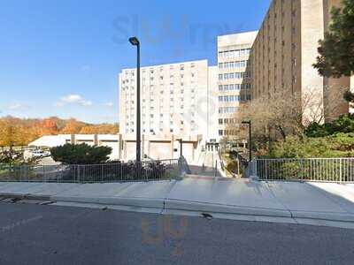 Kiwi Kraze - Uwo Saugeen