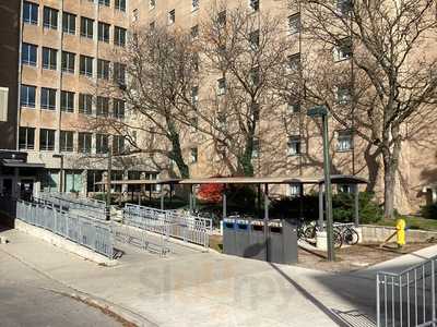 Kiwi Kraze - Uwo Saugeen