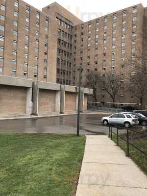 Kiwi Kraze - Uwo Saugeen