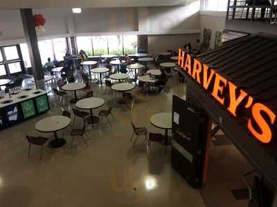 Harvey's