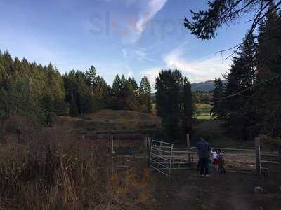 Alderlea Farm And Cafe