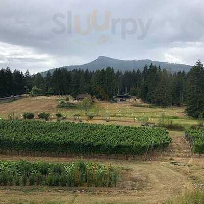 Saison Market Vinyard