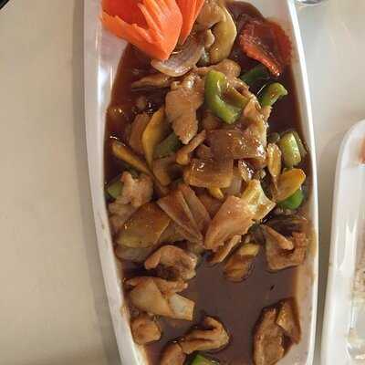 Modern Orchid Dartmouth