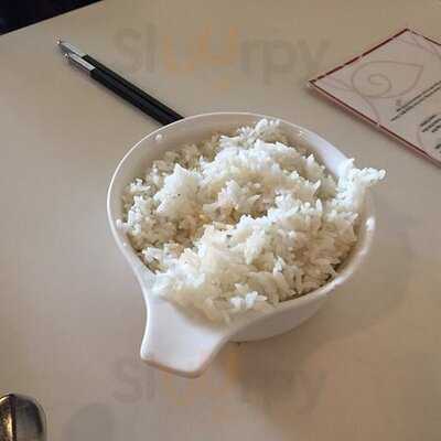 Modern Orchid Dartmouth