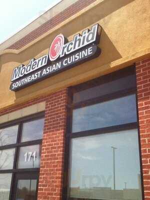 Modern Orchid Dartmouth