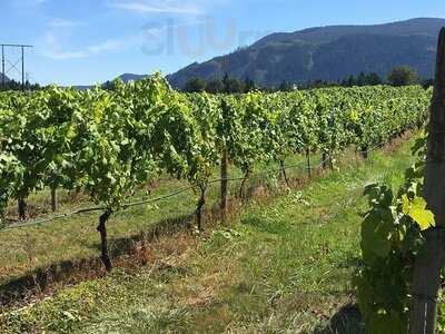 Vinoteca On The Vineyard