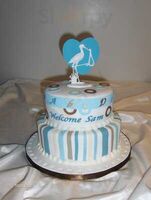 Picture Perfect Cake