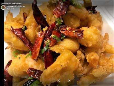 Countryside Chinese Restaurant