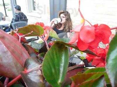 Coffee Culture Cafe & Eatery