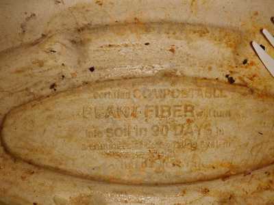 Quesada Burritos & Tacos