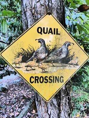 Italian Kitchen & Deli At Grove Hall Farms