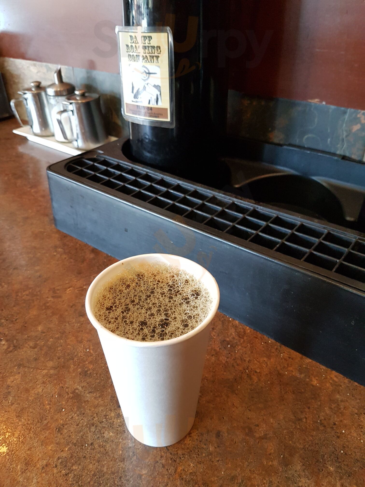 Javalanche Cafe