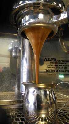 Anubis Coffee Importing