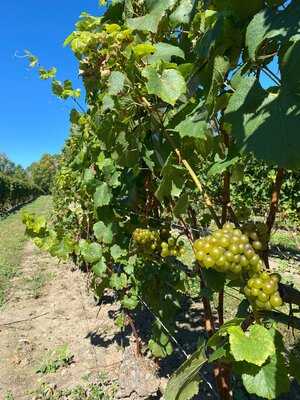 La Pergola Restaurant