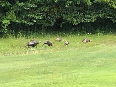 Chippewa Golf & Country Club